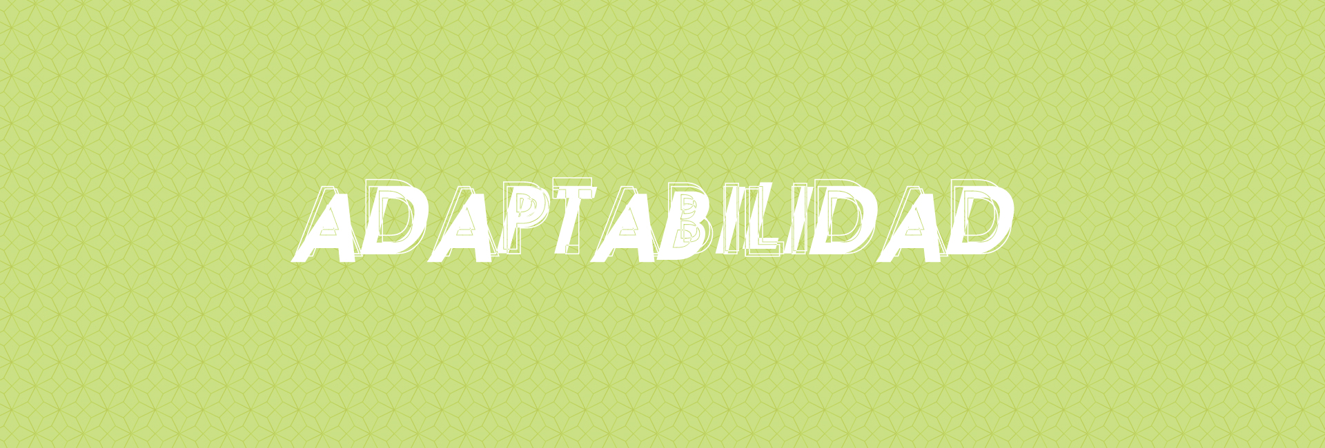 Adaptabilidad_OK_2